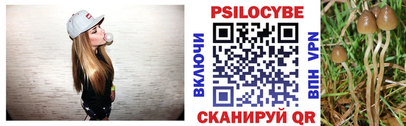 Псилоцибиновые грибы MAGIC MUSHROOMS  Купить  Тейково 